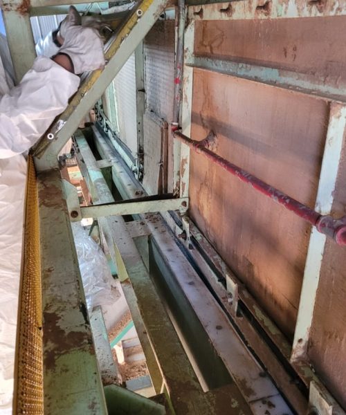 WhatsApp Image 2022-11-02 at 16.13.51 (5)