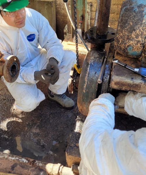 WhatsApp Image 2022-11-02 at 16.13.52 (6)